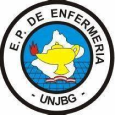 logo de la carrera enfermeria unjbg
